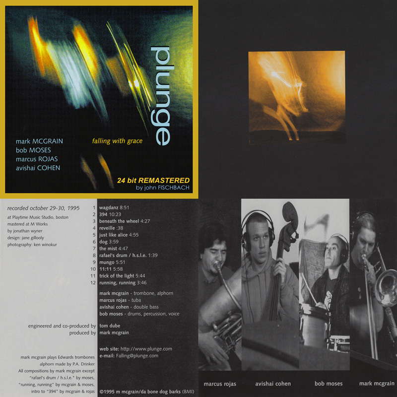 PLUNGE: Falling With Grace (remastered) - Immersion Records 1995/2009
