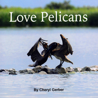 Book: Love Pelicans by Cheryl Gerber